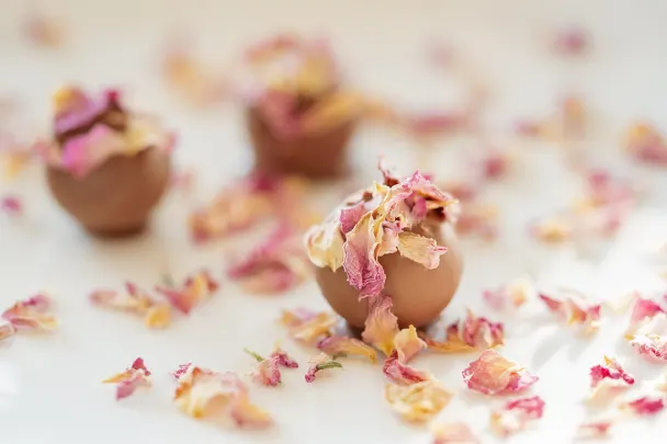 Kasino Generation VIP Android/iOS aplikace